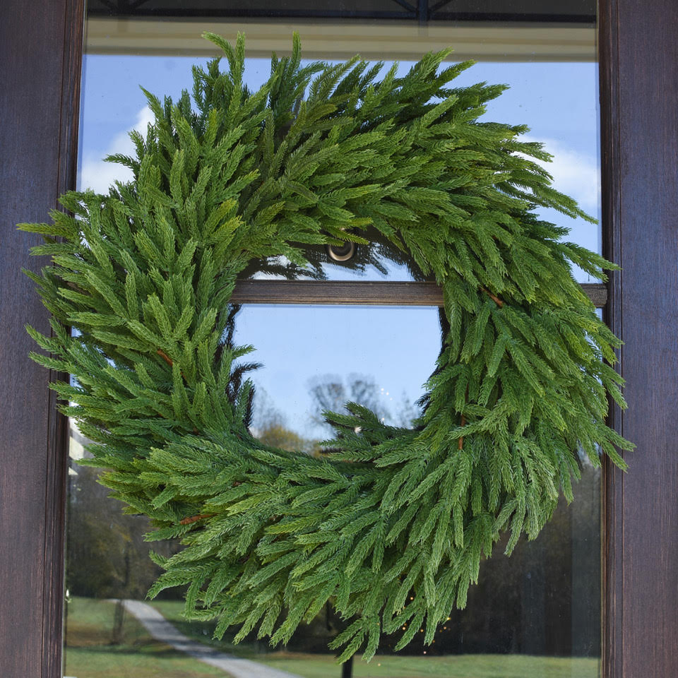 30" Norfolk Pine Wreath (Extra Full)